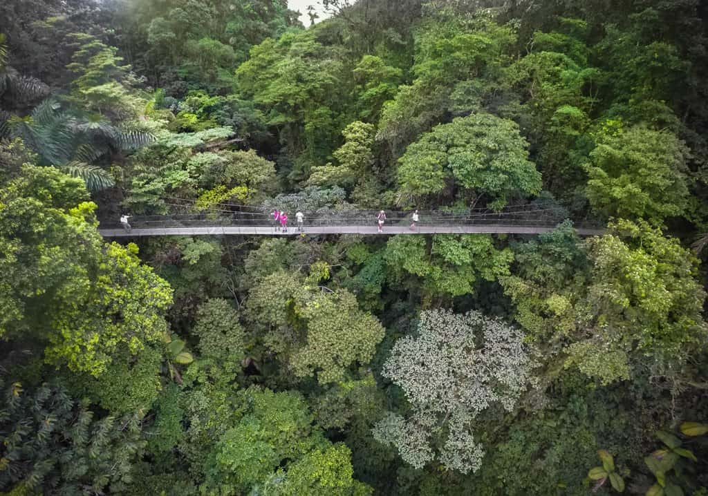 Hanging Bridges of Costa Rica