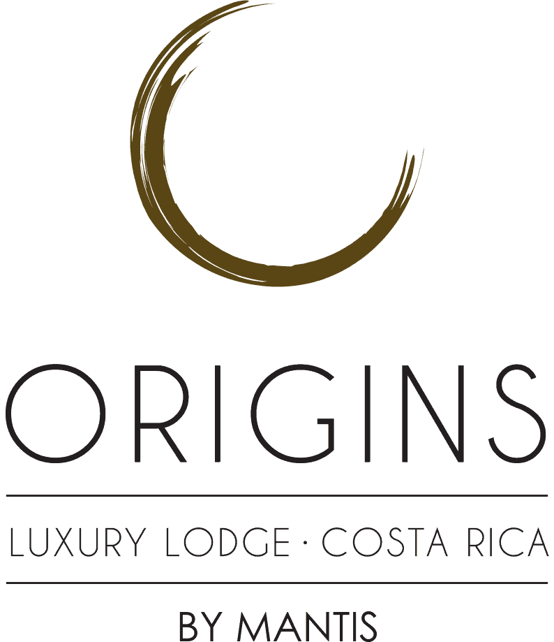 Origins Luxury Lodge